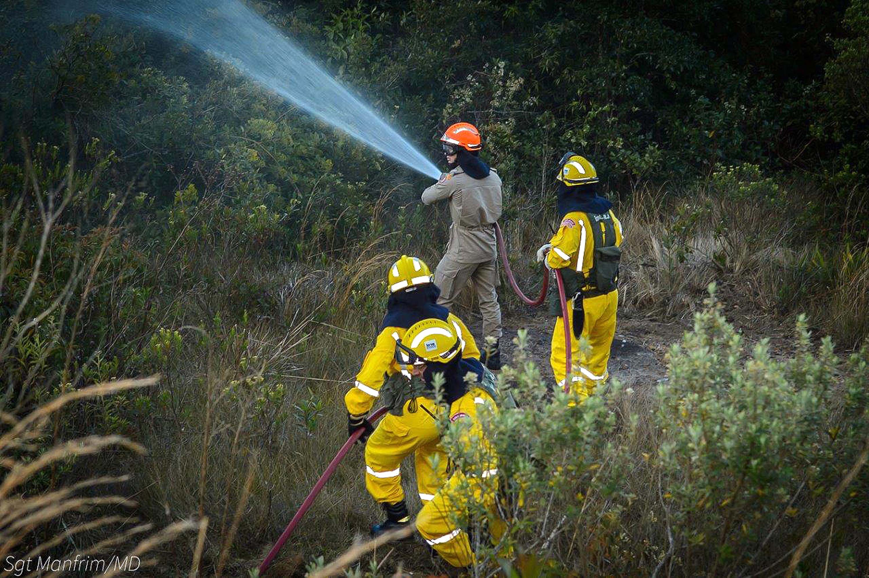 15 - Bombeiros e REBIO Araras atuam em conjunto