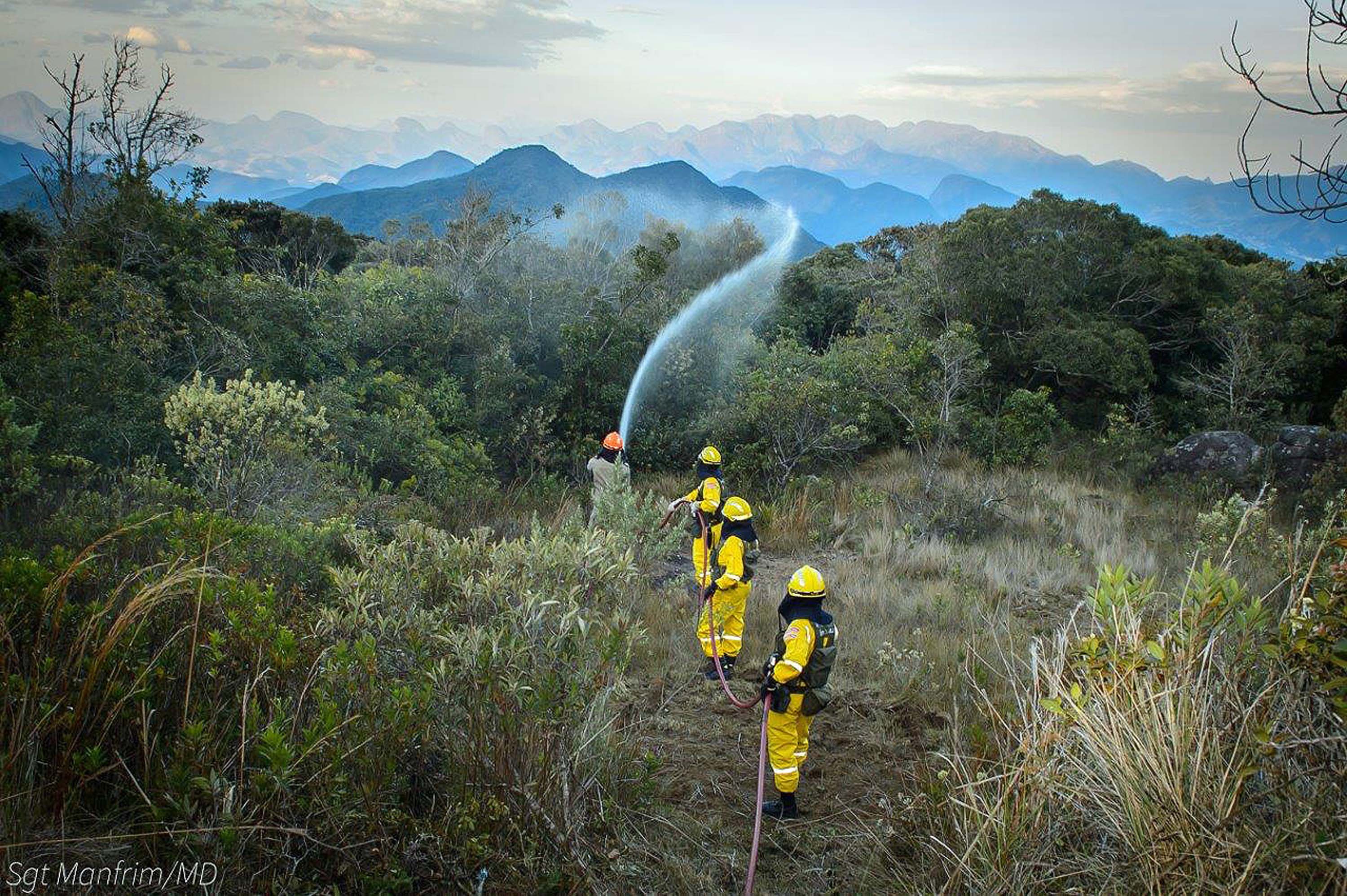 16 - Bombeiros e REBIO Araras atuam em conjunto